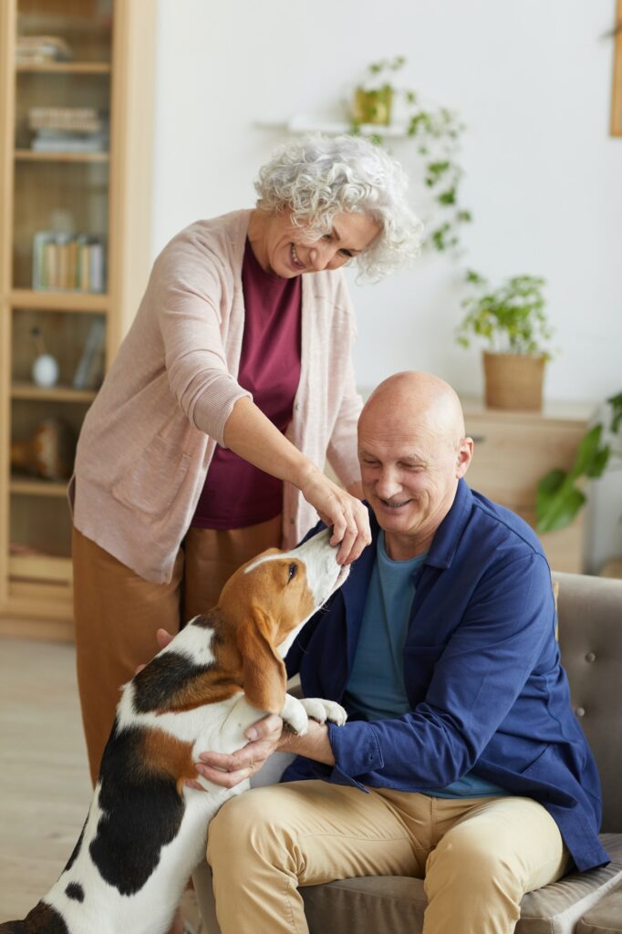 senior couple playing with dog at home.jpg